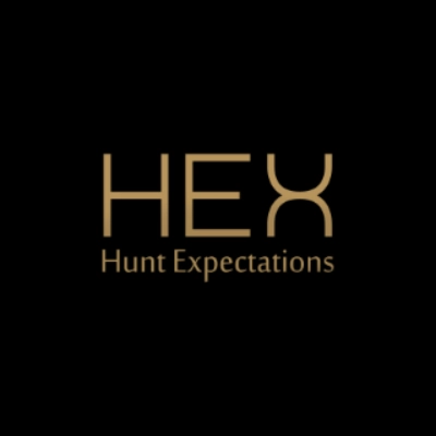 HexAgency profile picture