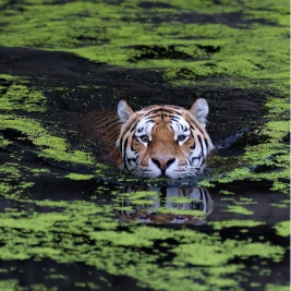 mbotrs profile picture