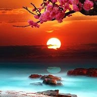 fromtheshadowsmovie profile picture