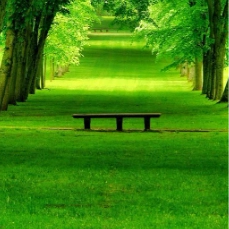 handmadetiles profile picture