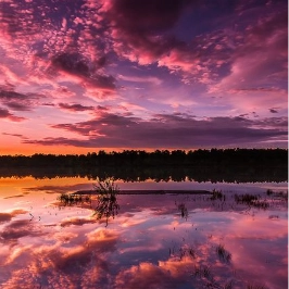 integrinautics profile picture