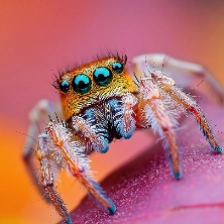 thesesmedia profile picture