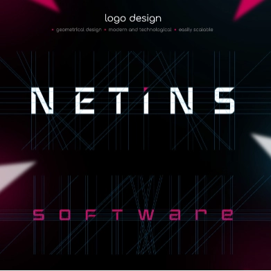 netins21 profile picture