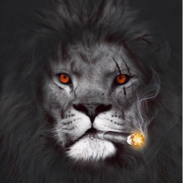 mmmsss11 profile picture