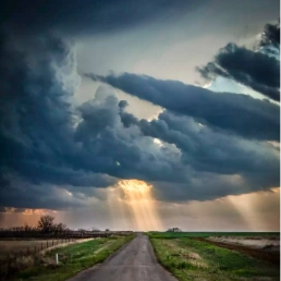 rynosecurity profile picture