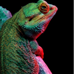 socialpresshub profile picture