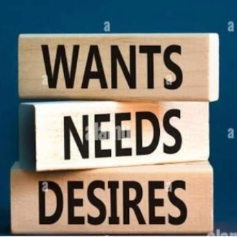 needs__wants profile picture