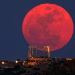 repcographics profile picture