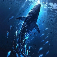 funhobbies profile picture