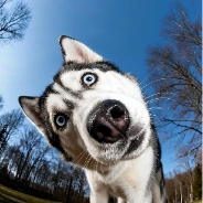 virginianewssource profile picture