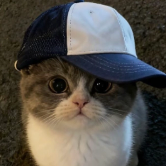 eastbourneadvisoryservices profile picture