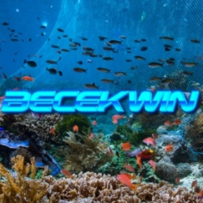 becekwinofficial profile picture