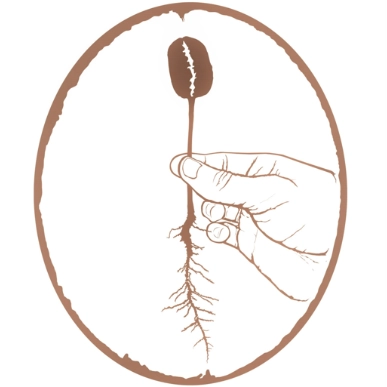 rasmyscoffee profile picture