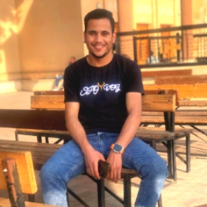 ebramkhaleel profile picture