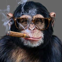 collegeofapostolicstudies profile picture