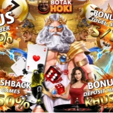 botakhokicom profile picture