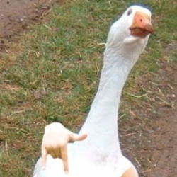 getrealmortgage profile picture