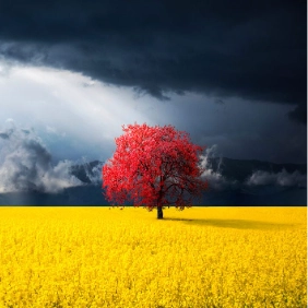 tracsports profile picture