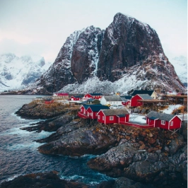 cibcrew profile picture