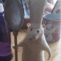 clementoncajunseafood profile picture