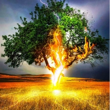 hisessence profile picture