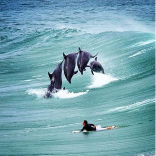 minnwebsitehosting profile picture