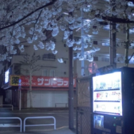 chiradesigns profile picture