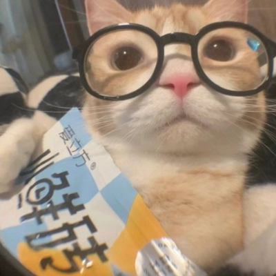 cloudcomments profile picture